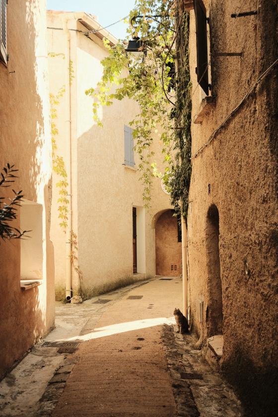 Sud