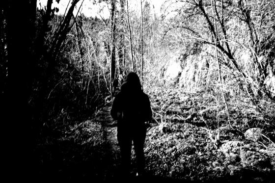 Forêt